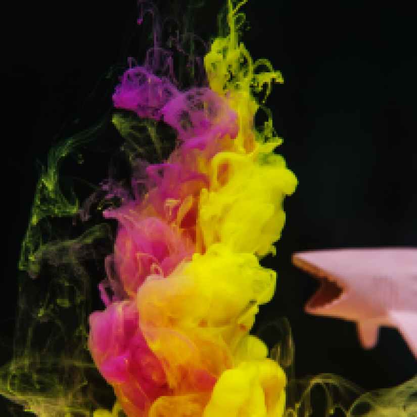 pink and yellow ink underwater art beside shark toy