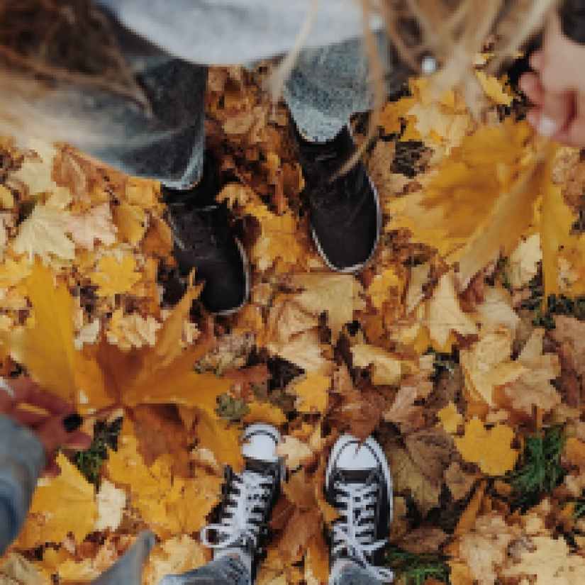 unknonw persons standing on dried leaves